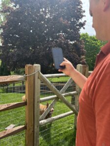 Secure gated yard in Toledo where Ohio Pet Waste Pros provides pet waste removal