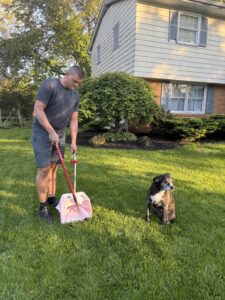 Ohio Pet Waste Pros owner scooping yard in Toledo for pet waste removal