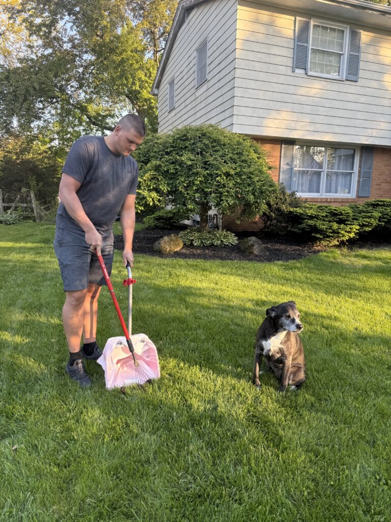 scooping for Bell