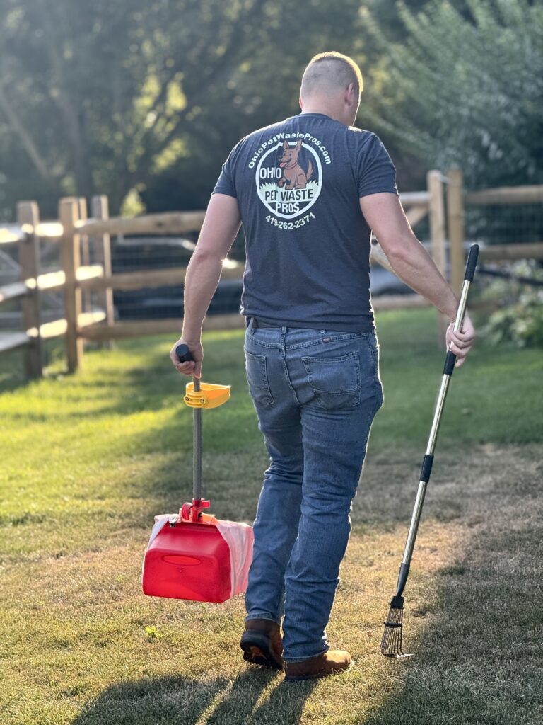 pooper scooper cleaning a client's yard in Maumee, OH with a bucket and rake