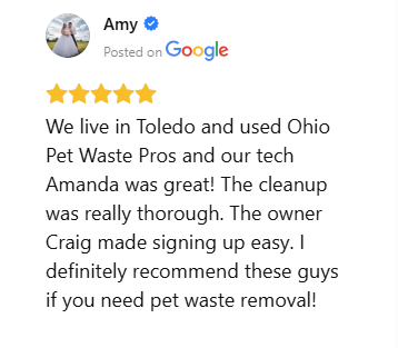 Five-star Google review praising thorough dog waste removal and friendly service in Toledo
