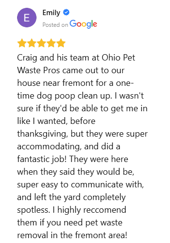 Five-star Google review praising one-time dog waste cleanup service in Fremont area