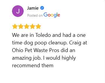 Five-star Google review praising one-time dog poop cleanup service