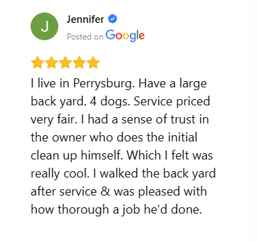 Five-star Google review praising thorough dog poop cleanup for large yards