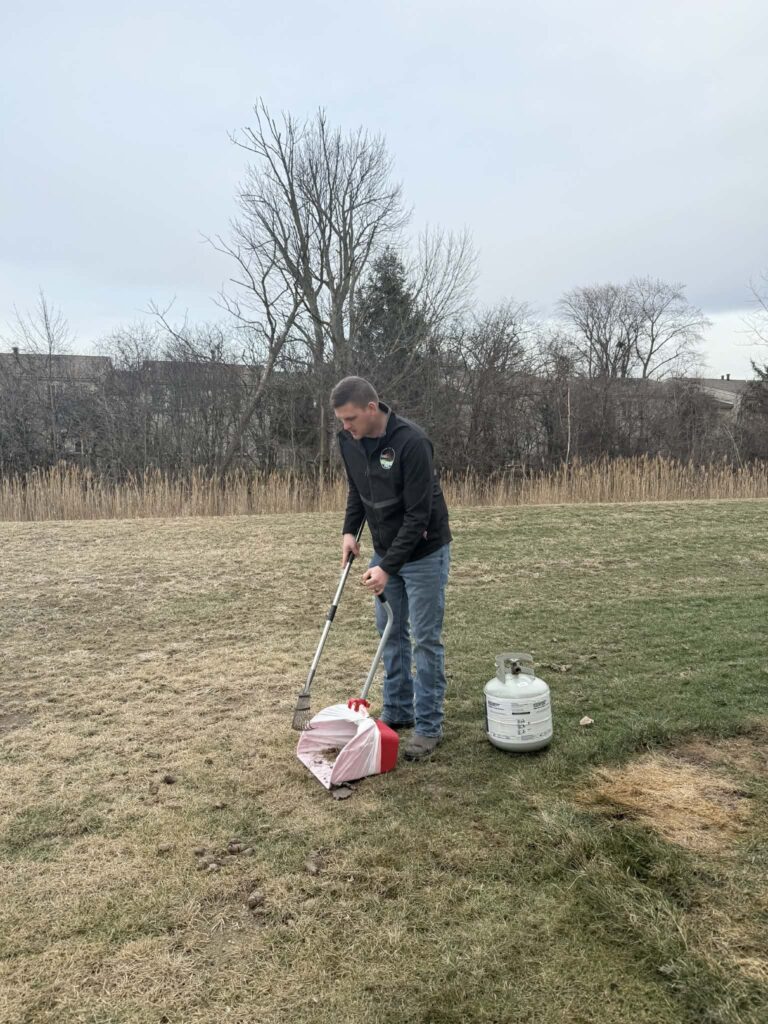 cleaning dog poop from a yard in perrsyburg, Ohio