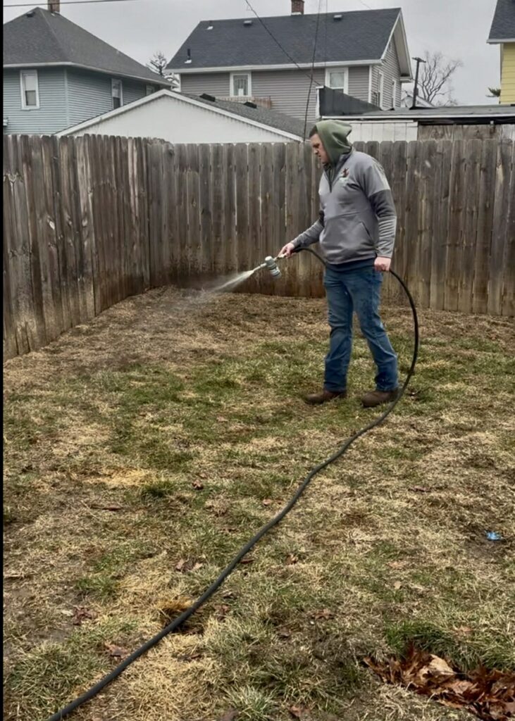 Wysiwash application still image